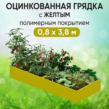 Грядка желтая (0,8 х 3,8)